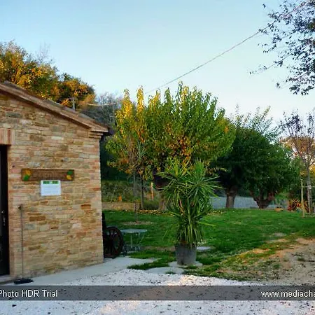 Фермерский дом Agriturismo Il Leccio Арчевиа