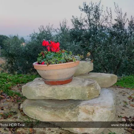 Agriturismo Il Leccio Bauernhof