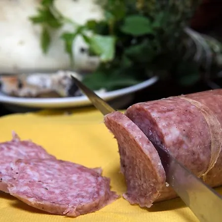 Фермерский дом Agriturismo Il Leccio Арчевиа