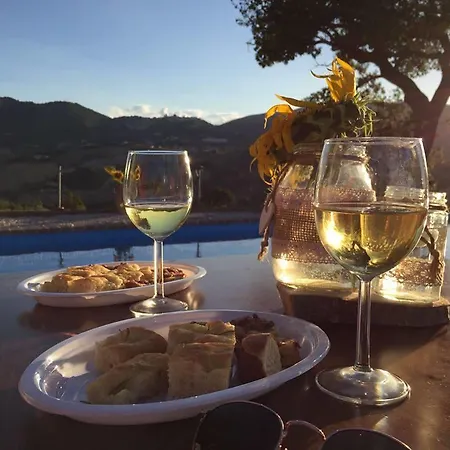 Agriturismo Il Leccio Арчевиа