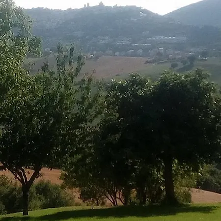 Agriturismo Il Leccio Фермерский дом